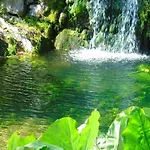 Vakantieboerderij Quinta Da Chouza E Enoturismo