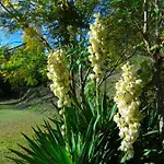 Vakantieboerderij Quinta Da Chouza E Enoturismo