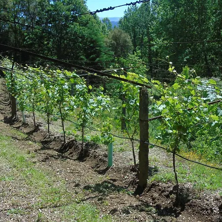 Quinta Da Chouza E Enoturismo