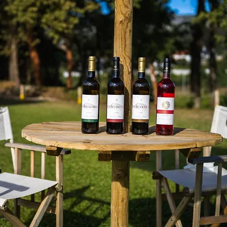 Farm stay Quinta Da Chouza E Enoturismo *