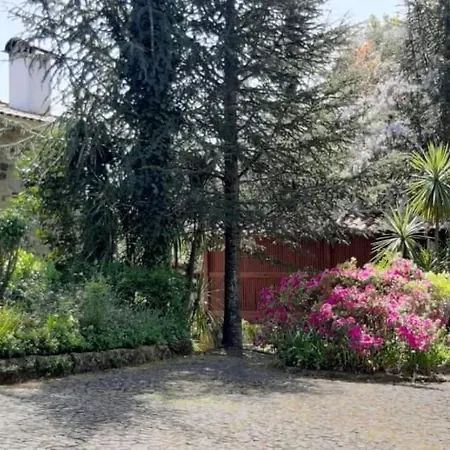 Quinta Da Chouza E Enoturismo Farm stay Celorico De Basto