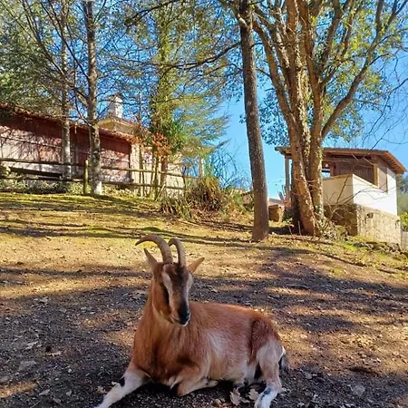 Quinta Da Chouza E Enoturismo مزرعة للإقامة