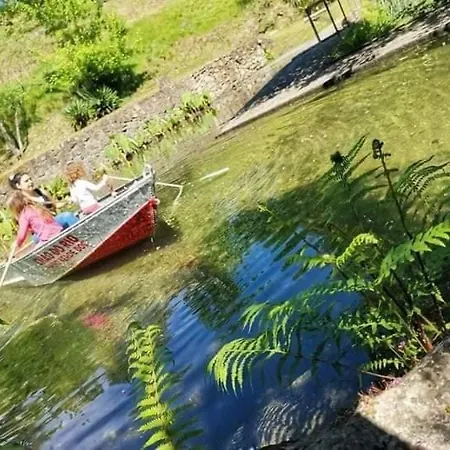 Farm stay Quinta Da Chouza E Enoturismo Celorico De Basto