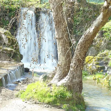 ファームステイ Quinta Da Chouza E Enoturismo *