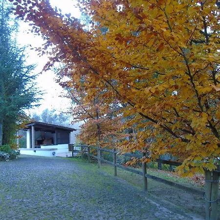 ファームステイ Quinta Da Chouza E Enoturismo
