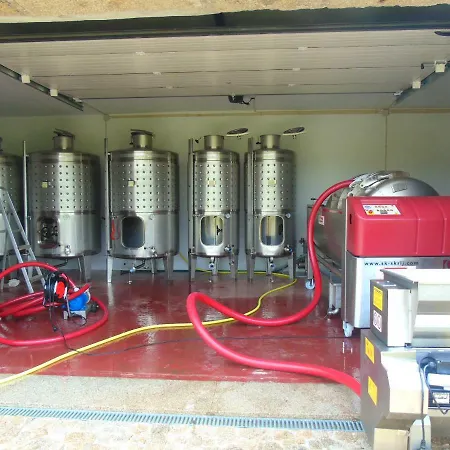 Quinta Da Chouza E Enoturismo Bauernhof Celorico De Basto