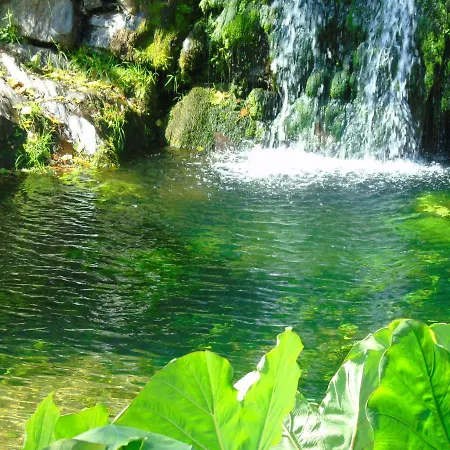 ファームステイ Quinta Da Chouza E Enoturismo