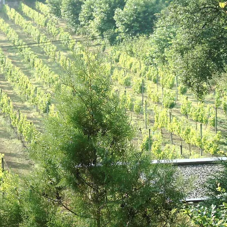 Quinta Da Chouza E Enoturismo Agroturismo Celorico De Basto