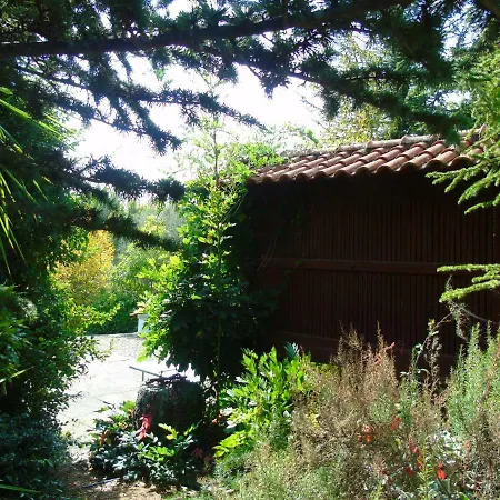 Quinta Da Chouza E Enoturismo * セロリコ・デ・バスト