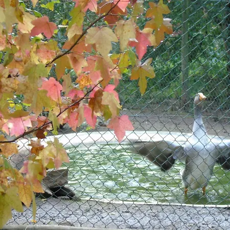 Agroturismo Quinta Da Chouza E Enoturismo