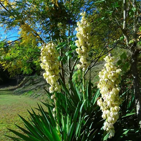 Farma Quinta Da Chouza E Enoturismo