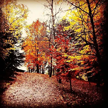 Quinta Da Chouza E Enoturismo Agroturismo