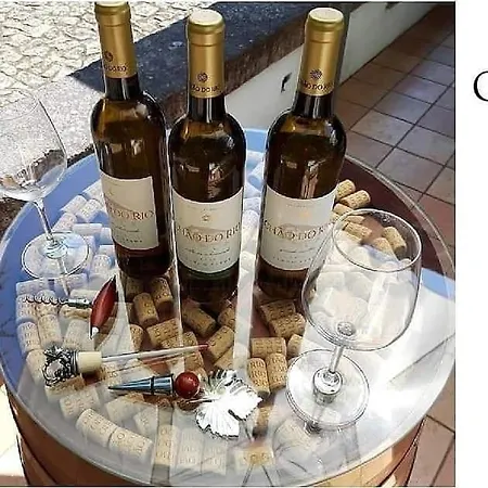 مزرعة للإقامة Quinta Da Chouza E Enoturismo