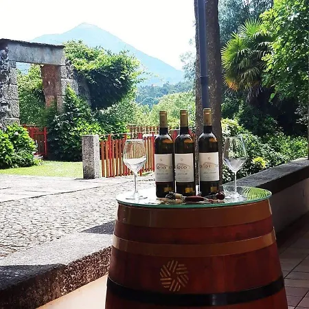 Quinta Da Chouza E Enoturismo