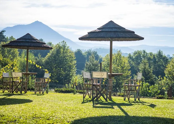 Quinta Da Chouza E Enoturismo *