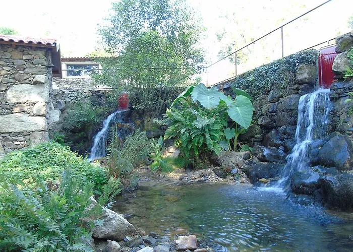 팜스테이 Quinta Da Chouza E Enoturismo 세로리코데바스토