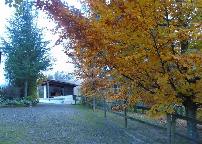 Vakantieboerderij Quinta Da Chouza E Enoturismo