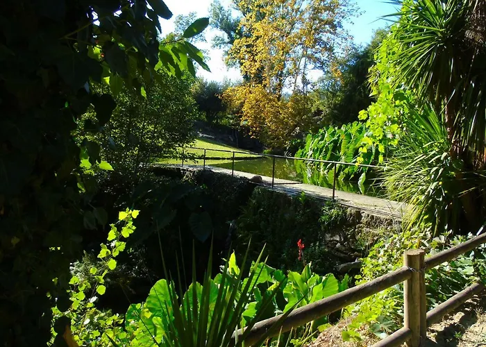 Quinta Da Chouza E Enoturismo Farm stay Celorico De Basto