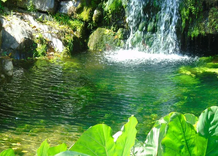 مزرعة للإقامة Quinta Da Chouza E Enoturismo