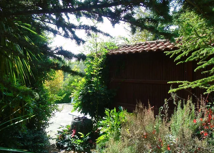 Quinta Da Chouza E Enoturismo * سيلوريكو دي باستو