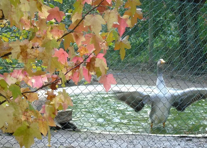 Vakantieboerderij Quinta Da Chouza E Enoturismo