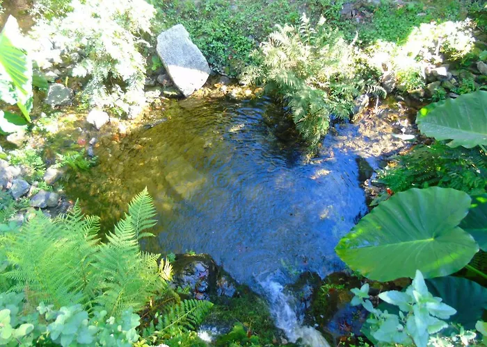 Quinta Da Chouza E Enoturismo Vakantieboerderij *