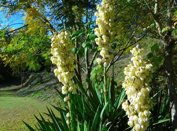 팜스테이 Quinta Da Chouza E Enoturismo