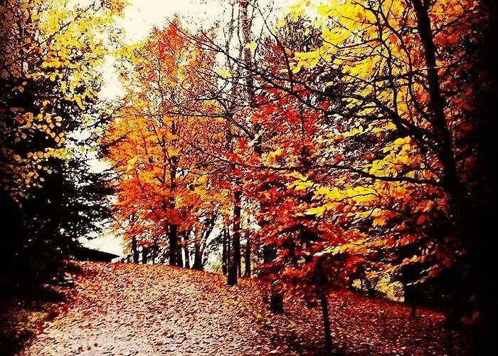 Quinta Da Chouza E Enoturismo Vakantieboerderij