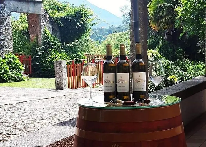 Quinta Da Chouza E Enoturismo